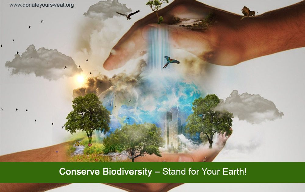 save biodiversity